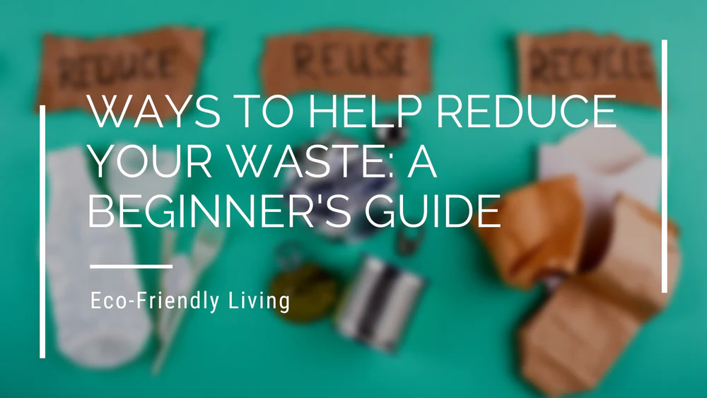 The Eco-Friendly Guide to Reducing Waste in Your Daily Routine